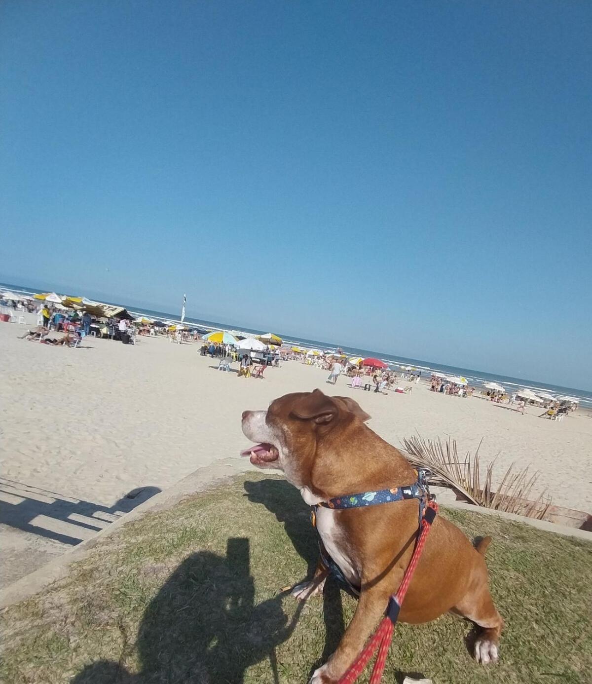 Lindo Apto Com Vista Mar, 200 Mts Da